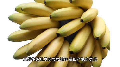 国产在线大香蕉